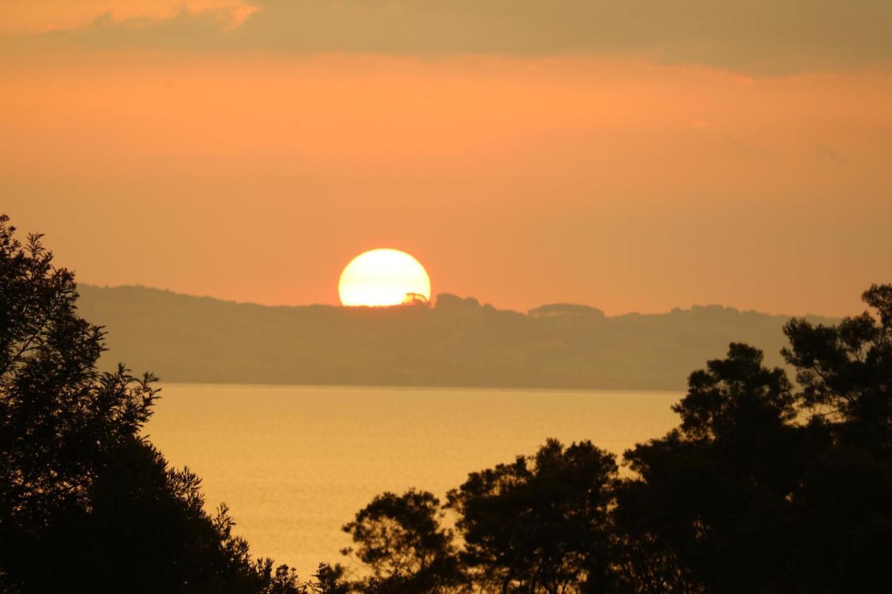 Waiotahi Valley Lodge เทมส์ ภายนอก รูปภาพ